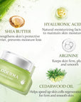 Aloderma Hydrating Face Cream for Dry Skin Made with 70% Organic Aloe Vera - Natural Hydration with Hyaluronic Acid & Arginine - Nourishing Aloe Vera Face Cream - Moisturizing Dry Skin Cream, 1.7oz