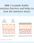 NACIFIC Uyu Cream Moisturizing Set Toner 150ml 5.07fl.oz, Ampoule 50ml 1.69fl.oz, Cream 50ml 1.69fl.oz, Milk Jeju Island, 100 housr lasting, Deep Moisture