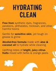 Molly's Suds Foaming Hand Soap - Made with Aloe and Coconut Oil | Moisturizing Hand Wash | Clean Ingredients, Infused with Essential Oils | Citrus Grove - 8.25 Oz (Pack of 3)
