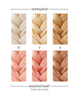 Danger Jones Semi-Permanent Hair Color (Antique - Rose Gold)