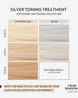 FOUR REASONS Color Mask - Silver - (27 Colors) Toning Treatment, Color Depositing Conditioner, Tone & Enhance Color-Treated Hair - Semi Permanent Hair Dye, Vegan and Cruelty-Free, 6.76 fl oz