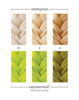 Danger Jones Semi-Permanent Hair Color (Adrenaline - Neon Green)