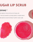 3Pcs Lip Care Set, Exfoliator Lip Lips