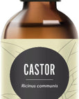 Edens Garden Organic Castor Oil – Cold Pressed, Unrefined, Hexane-Free & 100% Pure Therapeutic Grade – Carrier Oil for Nails, Cuticle, Hair Growth, Eyelashes, Eyebrows, Skin & Scalp 118 ml (4 fl oz)