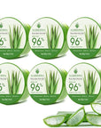 Aloderma Organic Aloe Vera Gel for Body Made within 12 Hours of Harvest, 96% Pure Aloe Vera Gel for Skin, Scalp, & Hair, Soothing Aloe Face Moisturizer, Multipurpose, Hydrating Aloe Gel, 7oz, 6 Pack