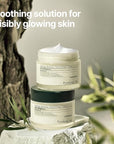 Pyunkang Yul PKY Calming Moisture Nourishing Cream Instantly Soothes Sensitive Skin, Face Moisturizer for Healthy Skin Vitality with Collagen, Vegan, Korean Skincare (1.69 Fl. Oz, 50ml)