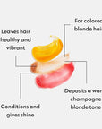 Four Reasons Color Mask – Champagne Blonde - (27 Colors) Toning Treatment, Color Depositing Conditioner, Tone & Enhance Color-Treated Hair - Semi Permanent Hair Dye, Vegan and Cruelty-Free, 6.76 fl oz