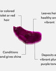 Four Reasons Color Mask - Plum - (27 Colors) Toning Treatment, Color Depositing Conditioner, Tone & Enhance Color-Treated Hair - Semi Permanent Hair Dye, Vegan and Cruelty-Free, 6.76 fl oz