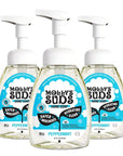 Molly's Suds Foaming Hand Soap - Made with Aloe and Coconut Oil | Moisturizing Hand Wash | Clean Ingredients, Infused with Essential Oils | Peppermint - 8.25 Oz (Pack of 3)