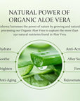 Aloderma Brightening Eye Cream with Organic Aloe Vera - Hydrating Effect for Dark Circles & Puffiness with Caffeine & Sage Oil - Day & Night Eye Care Cream for Puffy Eyes & Fine Lines, 25g/0.9oz