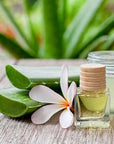 Naturevibe Botanicals Aloevera Oil 32 Ounces | 100% Pure and Natural | Great for Skin Care and Hair Care