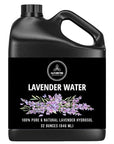 Naturevibe Botanicals Lavender Water 32 Ounces | 100% Pure and Natural | Great for Skin Care and Hair Care