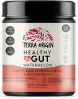 TERRA ORIGIN Healthy Gut Watermelon | 30-Servings with L-Glutamine, Zinc, Glucosamine, Slippery Elm Bark, Marshmallow Root and More!