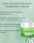 Aloderma Hydrating Face Cream for Dry Skin Made with 65% Organic Aloe Vera - Natural Hydration with Hyaluronic Acid & Arginine - Nourishing Aloe Vera Face Cream - Moisturizing Dry Skin Cream, 1.7oz