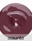 La Bella Donna High Gloss Mineral Lip Sheer Lip Gloss - Assunta