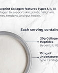 Blueprint Bryan Johnson Hydrolyzed Collagen Peptides Powder – Type I, II & III Collagen for Women & Men – Unflavored Protein Supplement for Hair, Skin, Nails, Joints & Cartilage – 20g – 30 Servings