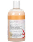 Ginger Lily Farms Botanicals Moisturizing Shampoo for All Hair Types, Coco Mango, 100% Vegan & Cruelty-Free, Coconut Mango Scent, 12 Fl Oz (Pack of 6)