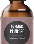 Edens Garden Evening Primrose Carrier Oil- 100% Pure Premium Cold Pressed & Hexane Free, Natural Antioxidant Rich Moisturizer For Face, Skin, Hair & Nail Care, Diluting Essential Oils 118 ml (4 fl oz)