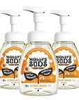 Molly's Suds Foaming Hand Soap - Made with Aloe and Coconut Oil | Moisturizing Hand Wash | Clean Ingredients, Infused with Essential Oils | Citrus Grove - 8.25 Oz (Pack of 3)