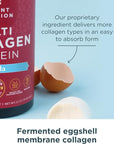 Ancient Nutrition Collagen Peptides Powder, Multi Collagen Protein, Women & Men, Vitamin C, Probiotics, Hydrolyzed Collagen, Supports Skin, Joints, Gut Health, Vanilla, 45 Servings