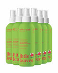 ATTITUDE Rinse-free Hair Detangler Spray