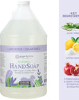 Ginger Lily Farms Botanicals All-Purpose Foaming Hand Soap Refill, 100% Vegan & Cruelty-Free, Lavender Chamomile Scent, 1 Gallon (128 Fl Oz)