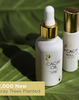 Cacay Oil Roll-On – Natural Anti-Aging Face & Body Oil for Scars with Retinol & Vitamin E, Organic Skincare, Antioxidant-Rich Treatment for Acne Scars, Wrinkles, Fine Lines, and Dry Skin (0.33 Fl Oz)