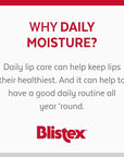 Blistex Hemp & Shea Hydration, 2 count
