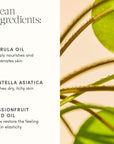 Evereden Golden Belly Serum, 1.7 fl