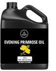 Naturevibe Botanicals Evening Primrose Oil 32 Ounces | 100% Pure and Natural | Great for Skin Care and Hair Care