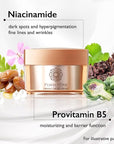 Perfect One Firming Facial Cream with Niacinamide, Collagen, and Hyaluronic Acid – Daily Anti-Aging Cream – 5-in-1: Serum, Moisturizer, Eye Cream, Primer, and Mask for All Skin Types – 1.76 oz