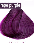 Purple Hair Dye Shampoo Permanent YIZHONG Hair Color For 100% Gray Coverage Women Men Dark Easy Comb Dyeing (grape purple)
