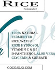 Dr Joe Lab Rice Water Growth Mix - Nourishing Toner with Rose Hydrosol, Aloe Vera Face and Scalp Essence, Rice Extract, Pro Vitamin B5, Oily Skin, Alcohol Free Spray Spritz (8 oz)