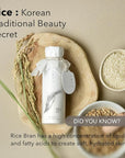 Rice Bran Powder Wash | Mild Exfoliating