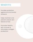 Timeless Skin Care Vitamin C Serum with Vitamin E & Ferulic Acid - Serum - for Oily & Dry Skin - Fragrance-Free - 1.7 Fl Oz