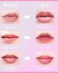 1 PCS Bee Lip Balm Lip Exfoliator