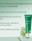 Aloderma Skin Brightening Face Cleanser Made with Organic Aloe Vera - Natural Brightening Daily Face Wash with Niacinamide & Papaya for Radiant Skin Tone - Natural Formula for Everyday Use, 4.2oz