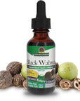 Nature's Answer Black Walnut Green Hull Extract 1oz - Alcohol-Free, Gluten-Free, Kosher - Black Walnut, Wormwood Black Walnut Clove Parasite Cleanse - Detox & Liver Support, Digestive Cleanser