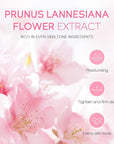 Skin Care Set JAPAN SAKURA Women