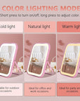 Pink Rechargeable Vanity Mirror with Lights, LED Makeup Mirror, 10"×8" Lighted Makeup Mirror with Lights, Smart Touch Control Dimmable 3 Modes Light, Lighted Up Mirror for Makeup Desk, Bedroom