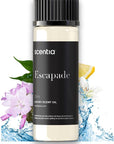 Scentia Hotel Diffuser Oil Inspired by 5-Star Hotel Scent - 20 mL 0.67 fl oz - Aromatherapy Fragrance Oil Inspired by 5 Star Hotel - Escapade, Thanksgiving Gift