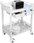 Beauty Trolley Cart with Wheels, Esthetician Cart with Handrail, Bucket and 2 Big Drawer, 2 Tier Heavy Duty Vacuum Therapy Machine Trolley, Load 330lbs, 360° Rotate Silent Wheels