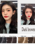 Dark Brown Hair Dye Shampoo YIZHONG Hair Color For Gray Hair Coverage Permanent Darkest Borwn Hair Color Shampoo Women Men Dedicated Darkening Hair Coloring (dark brown Black)…