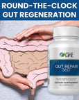 Gut Repair 360: Natural Formulated Formula Emerged from The Lab - Pure Essence Organic Capsules Non-GMO Gluten-Free Soy-Free Dairy-Free USA Made - Supporting Your Healthy Gut
