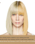 Blonde Brown Hair Dye Shampoo, Hair Color Shampoo for Women Men, Long Lasting Brown Hair Dye, Shampoo Para Pintar el Cabello, Easy to Use, Colors Hair in Minutes, 16.90 Fl Oz