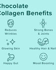 Further Food Chocolate Collagen Peptides Powder, Grass-Fed Pasture-Raised Hydrolyzed Type 1 & 3 Protein, Gut Health + Joint, Hair, Skin, Nails, Paleo Keto Sugar-Free 24.34 oz