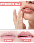 Honey Lip Balm Pot, Propolis Lip
