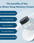 THANKYOU FARMER True Water Deep Moisture Cream EX - Hyaluronic Acid Moisturizer, Ceramide, Panthenol, Dermatologist Tested Korean Moisturizer for Face, Fragrance-free, 2.81 Fl Oz (80ml)