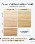 Four Reasons Color Mask – Champagne Blonde - (27 Colors) Toning Treatment, Color Depositing Conditioner, Tone & Enhance Color-Treated Hair - Semi Permanent Hair Dye, Vegan and Cruelty-Free, 6.76 fl oz