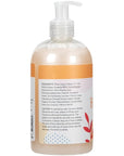 Ginger Lily Farms Botanicals Conditioning Liquid Hand Soap, Coco Mango, 100% Vegan & Cruelty-Free, Coconut Mango Scent, 12 Fl Oz (Pack of 6)